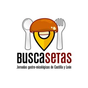 logotipo.buscasetas